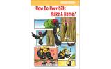 Children's Books