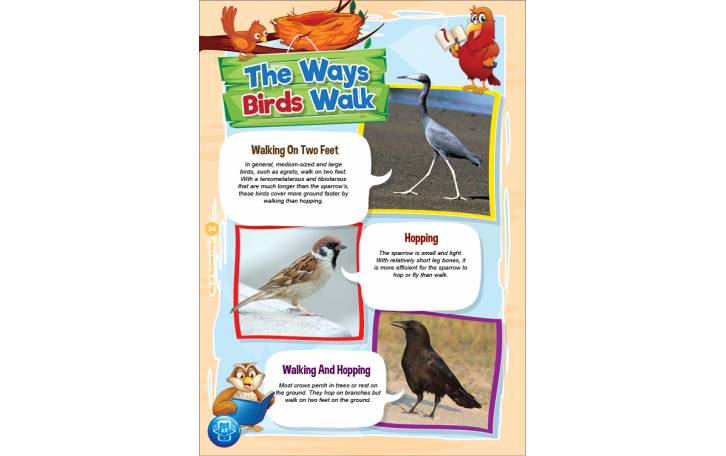 Children's Books