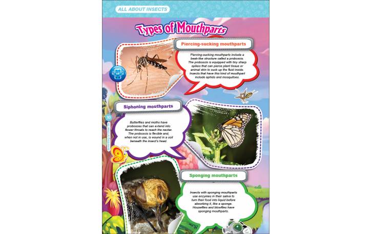 Children's Books