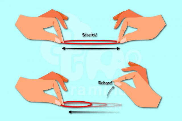 STRETCH AND GO!  Elastic Potential Energy Experiment